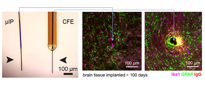 micro-invasive probes for scar free neural interfacing